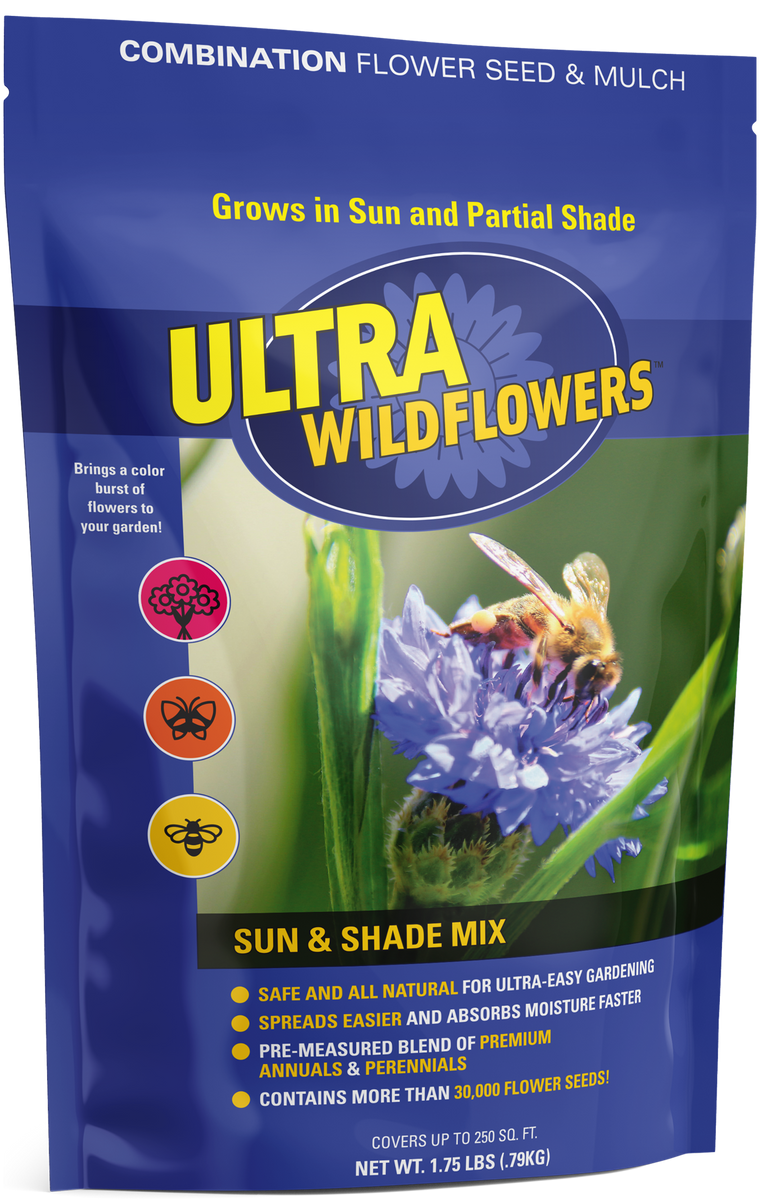 shade mix flower seeds Amturf Ultra WildFlowers™ Sun & Shade Mix - Saltillo, MS