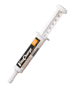BioZyme Vita Charge® Clench Gel (30 mL)