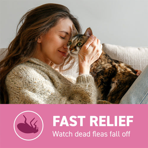 CAPSTAR® (nitenpyram) Oral Flea Treatment for Cats