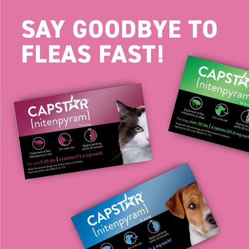 CAPSTAR® (nitenpyram) Oral Flea Treatment for Cats