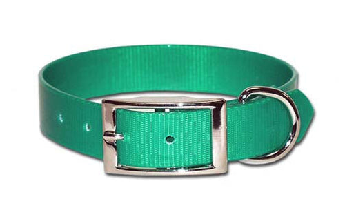 Omnipet Sunglo Regular Dog Collar (Green, 1 Regular SunGlo X 19 L)