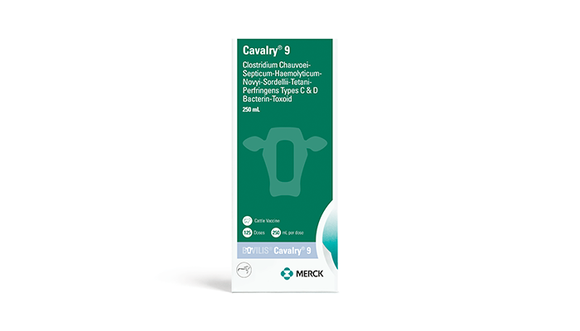 Merck Bovilis® Cavalry® 9