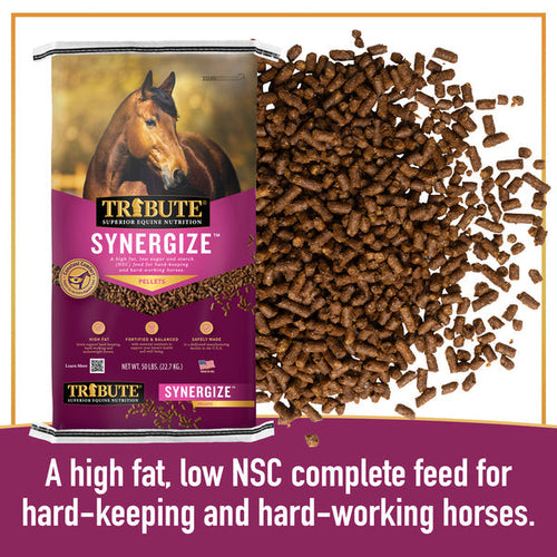 Tribute Synergize™ Pelleted Horse Feed (50 lbs)