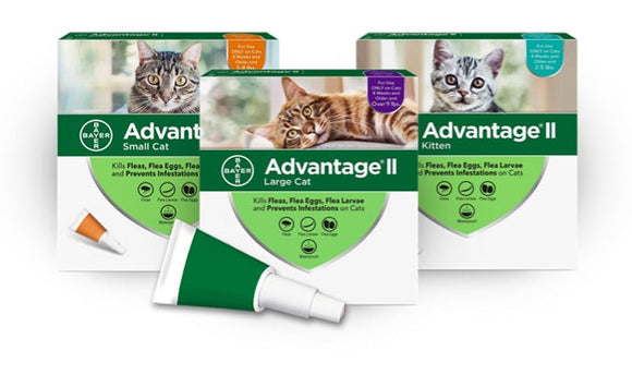 Elanco Advantage® II for Small Cats (Cats 2-9 lbs 2 Pack)