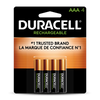 Duracell Rechargeable AAA Batteries