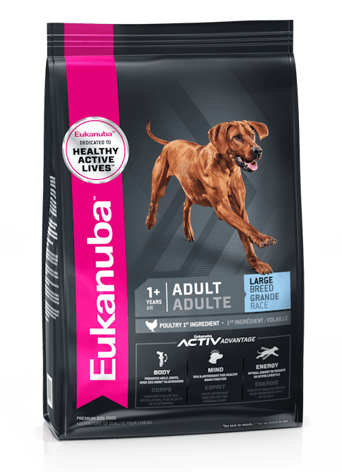 Eukanuba™ Adult Large Breed Dry Dog Food