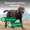 Advantus Chewable Flea Treatment for Dogs