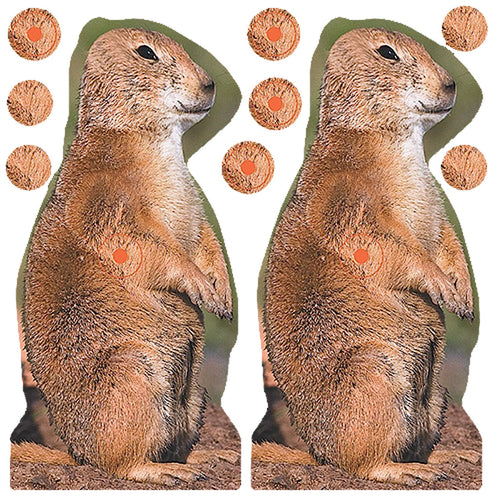 Birchwood Casey 34786 Shoot-N-C  Self-Adhesive Paper 8 Prairie Dog 12 Per Pack