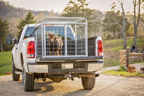 Tarter Gate Small Animal Transporter