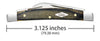 Case Smooth Black & Green Micarta® Small Congress
