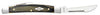 Case Smooth Black & Green Micarta® Small Congress