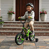John Deere Mean Green Bicycle