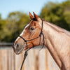 Classic Equine Econo Rope Halter and 8-foot Leadrope