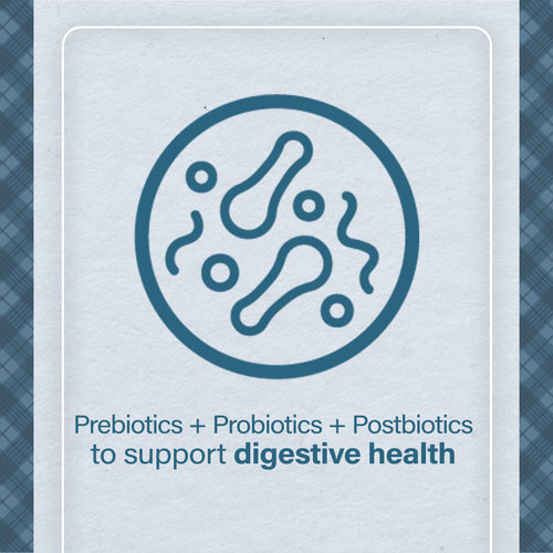 Nutrena® Loyall Life® Advanced Solutions Healthy Digestion Chicken & Rice Recipe Adult Dog Food