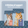 Nutrena® Loyall Life® Cat & Kitten Salmon & Ocean Fish Meal Recipe