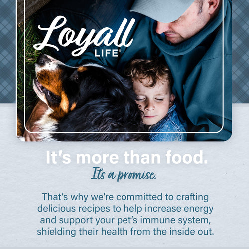 Nutrena® Loyall Life® Lamb Meal & Brown Rice Recipe Adult Dog Food