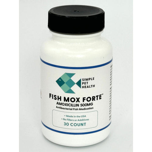 Fish Mox Forte™ - Amoxicillin