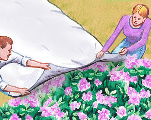 Dalen Harvest-Guard® Sub Zero Protective Garden Cover