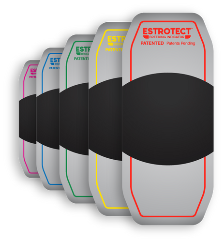 Estrotect Heat Patch
