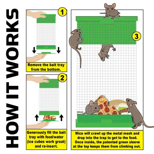 Billy-Bob™ Mouse Trap: Humane Multi-Catch Mouse Trap