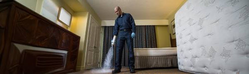 BASF PT® Alpine® Flea & Bed Bug Pressurized Insecticide