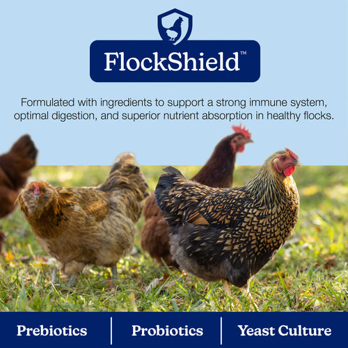 Nutrena® NatureWise® TidBits™ Immunity Support Poultry Treats