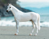 Breyer Fleabitten Grey Thoroughbred Retired