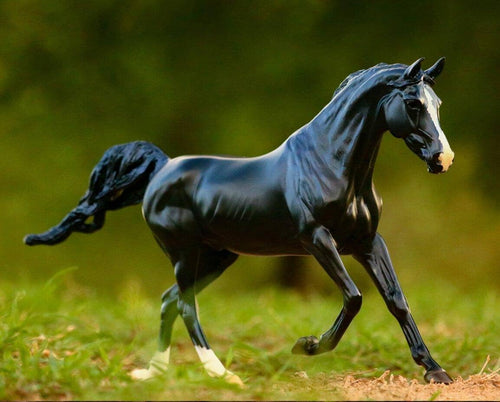Breyer KB Omega Fahim++++// Retired