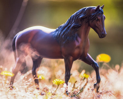 Breyer Vivaldi de Besilu