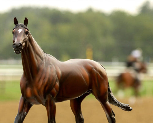 Breyer Cody's Wish Make-A-Wish Commemorative Edition