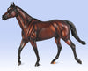 Breyer Cody's Wish Make-A-Wish Commemorative Edition