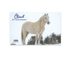 Breyer Cloud 30th Anniversary Edition