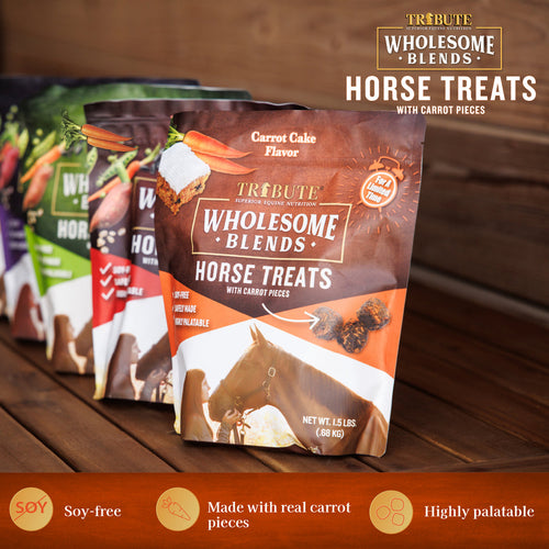 Kalmbach Feeds Carrot Cake Wholesome Blends® Horse Treats
