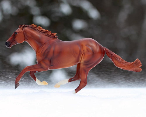 Breyer Secretariat