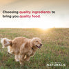 Diamond Naturals Large Breed Adult Dog Chicken & Rice Formula