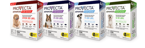 Provecta ADVANCED Flea & Tick Treatment for Dogs (For Large Dogs 21-55 lbs)