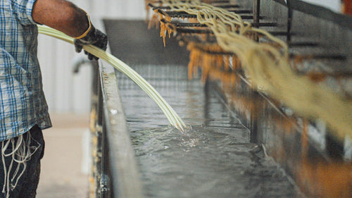 Classic Spydr5 Team Rope