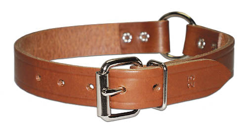 Leather Brothers  Leather Restricting Collar with Ring in Center - 1 x 19 in. (1 x 19 in.)