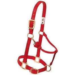 Horse Halter, Snap, Red Nylon, 1-In., Small/Weanling Draft