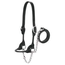 Cattle Show Halter, Black Bridle Leather, Medium, 20-In. Chain x 36-In. Lead