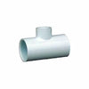 Charlotte Pipe 3/4 In. Solvent Weld x 1/2 In. FIP Schedule 40 PVC Tee (3/4 x 1/2)