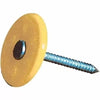 Grip-Rite 12-Gauge Electro-Galvanized Steel Cap Nails  1-3/4 (1-3/4)