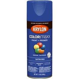 COLORmaxx Spray Paint + Primer, Satin Iris, 12-oz.