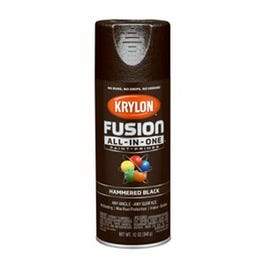 Fusion All-In-One Spray Paint + Primer, Hammered Black, 12-oz.