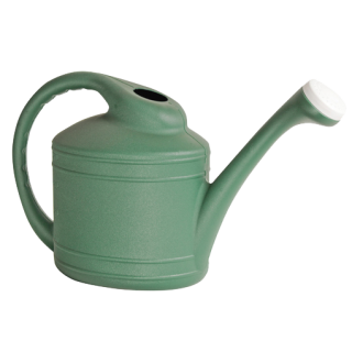 The Ames Watering Can Fern (2-Gallon)