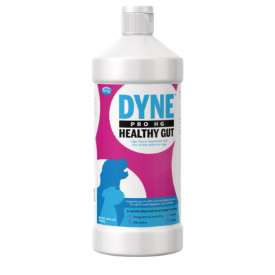 PetAg Dyne™ PRO HG Healthy Gut for Dogs (16 oz)