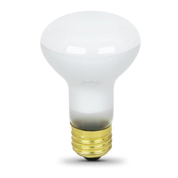 Feit Electric 30-Watt R20 Incandescent Light Bulb (30 Watt)