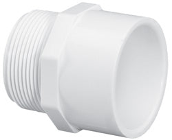 LASCO 2 MPT x Slip Sch40 Male Adapter (2)