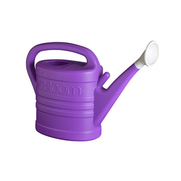 BLOOM 2 GALLON WATERING CAN (Single Count)