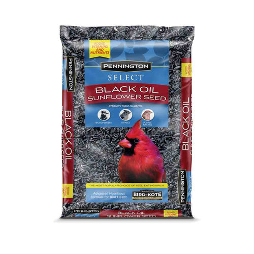 Pennington Select Black Oil Sunflower Seed 5 lbs (5 lbs)